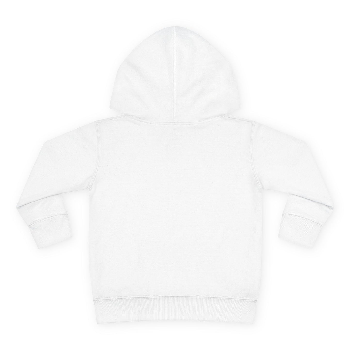 Pumpkin Spice Toddler Hoodie