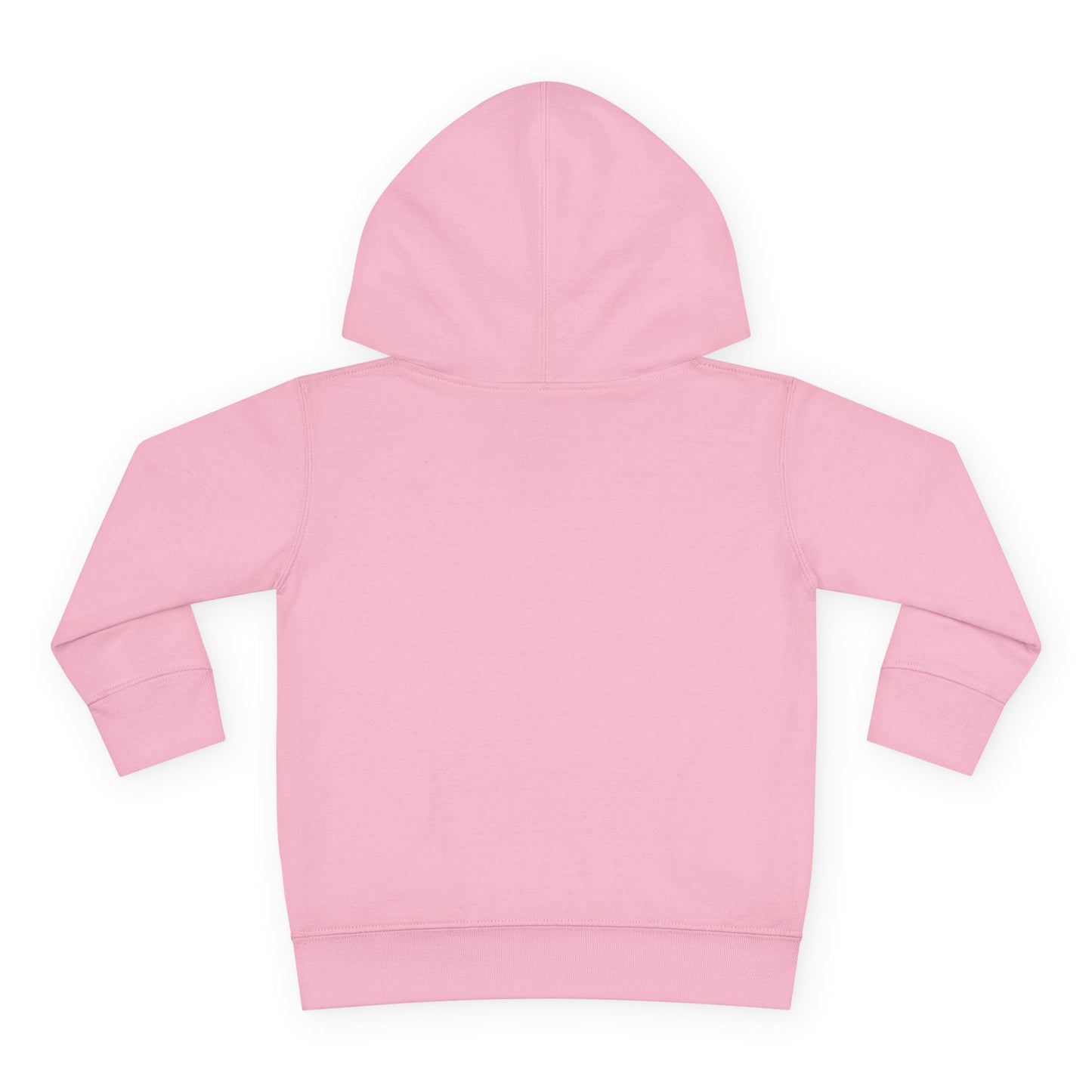 Pumpkin Spice Toddler Hoodie
